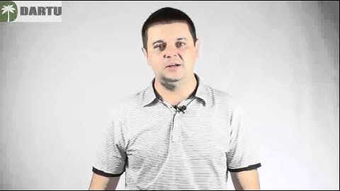 VPS servers on the SSD drive from dartuhost.com