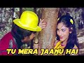 Tu mera jaanu hai  full  jhankar  hero  anuradha paudwalmanhar  jackie meenakshi