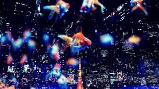 夕刻ロベル作詞作曲「風のさかな(変な歌枠ver.)」を勝手にピアノバラードっぽくアレンジしてゆかりさんに歌ってもらった