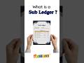 What is Subledger in Accounting ? | GoSetle® Subledger Explanation with example #ledger #shorts