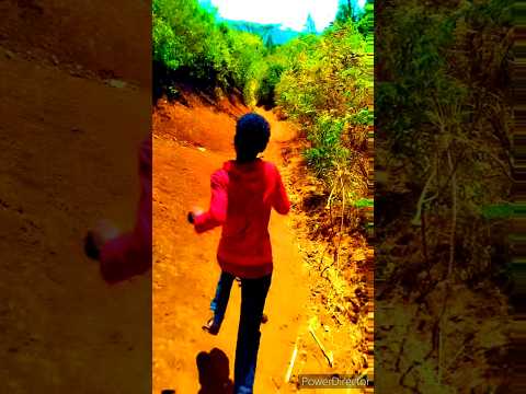 Walitti Fayyine Kotuu Muca