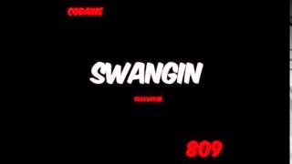 Drake New The Crew - Swagging Ovo Music