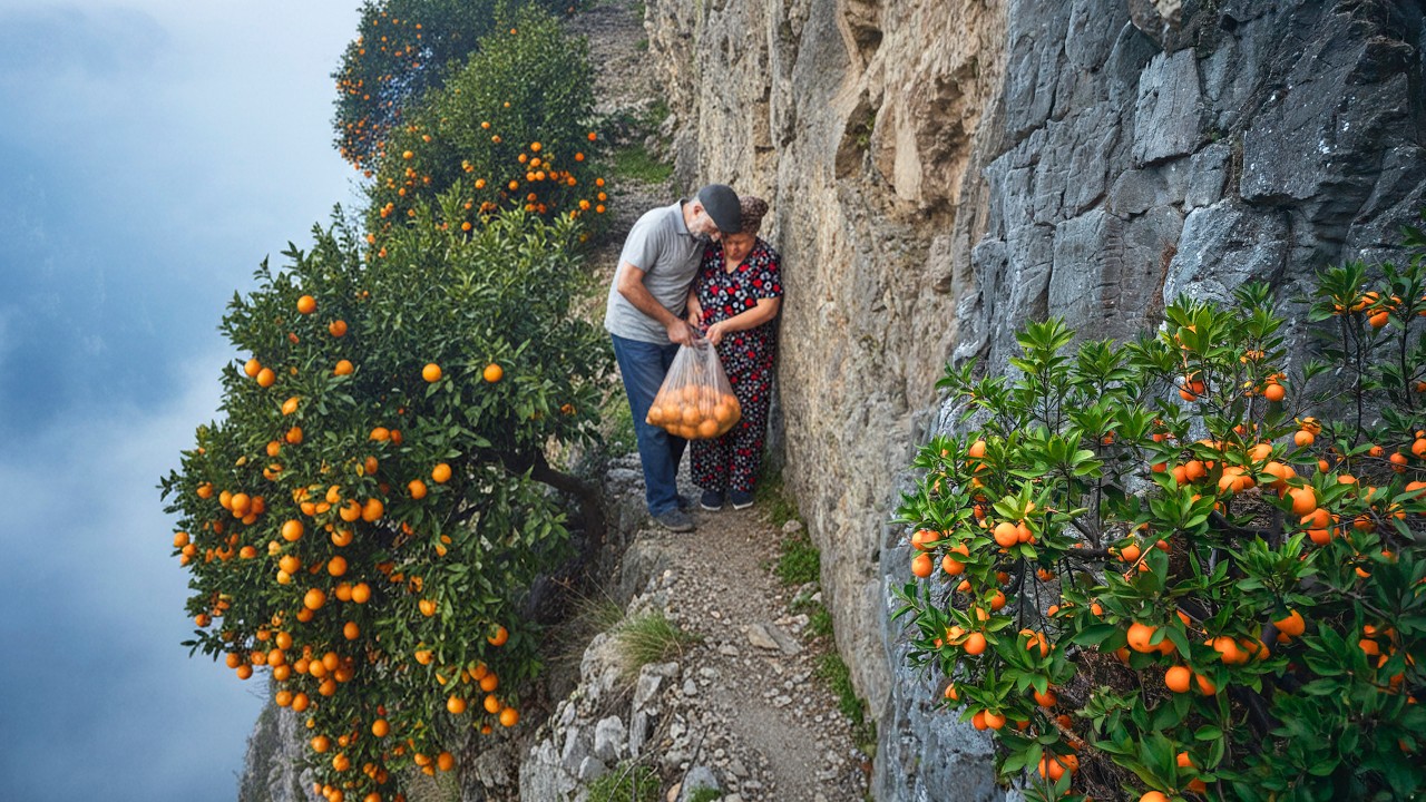 Thumbnail for Harvesting Oranges on a Dangerous 45° Cliff — A 4 km Mountain Journey