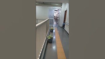 L. V. Prasad hospital eye specelist