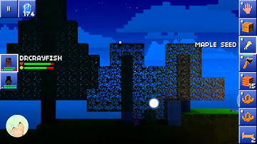 AYAYAYAYYAYAY!!! Blockheads part:2