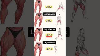 The Absolute Best Leg Workout For Toned Musclesultimate Leg Day Best Full Leg Workouts