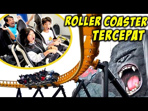 NAIK ROLLER COASTER