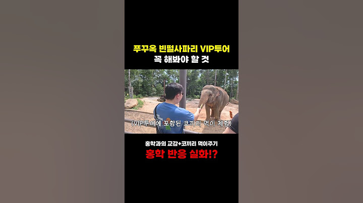 푸꾸옥 빈펄사파리, 홍학 반응 실화냨ㅋㅋㅋㅋ