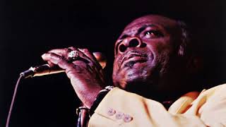Rufus Thomas - Do The Funky Chicken From Doing The Push & Pull At P J's