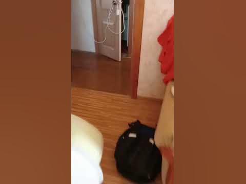 раг - YouTube