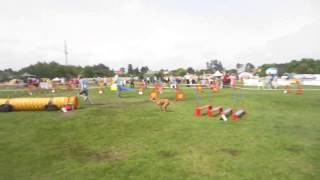 Laura Ir Nendre. Iabc 2013