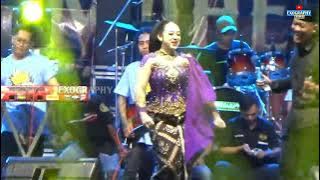 NIKEN SALINDRY - LAMUNAN | MAHESA MUSIC DHEHAN AUDIO PRO | LIVE BAKUR SAWAHAN MADIUN
