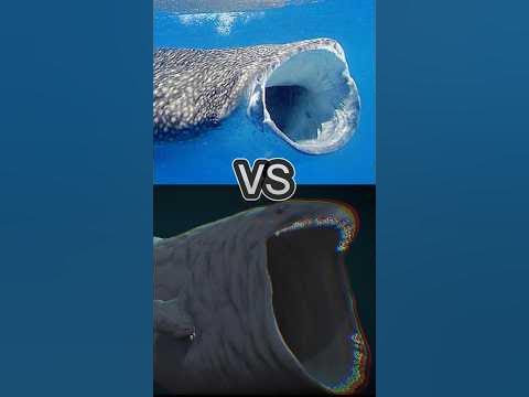 THE BLOOP VS WHALE SHARK, SIZE, DEXTERITY, FORCE, RESISTANCE - YouTube