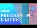 Floating, Sinking, Density and Pressure in Liquids