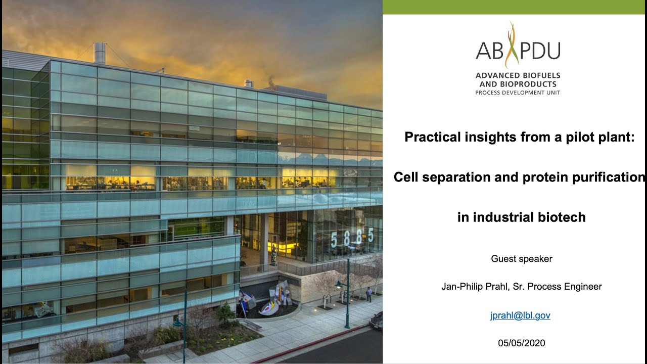 Practical Insights from a Pilot Plant: Downstream Processing (DSP)