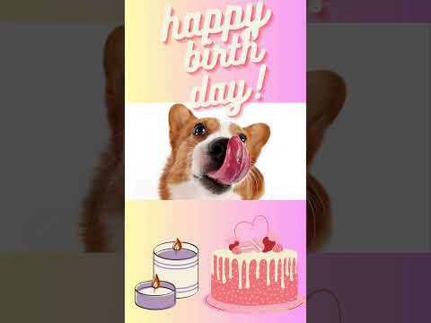 Happy Birthday Puppy/Ukulele Song.  #youtubeshorts #shorts sho #youtubeshortsvideos  #shortvideo