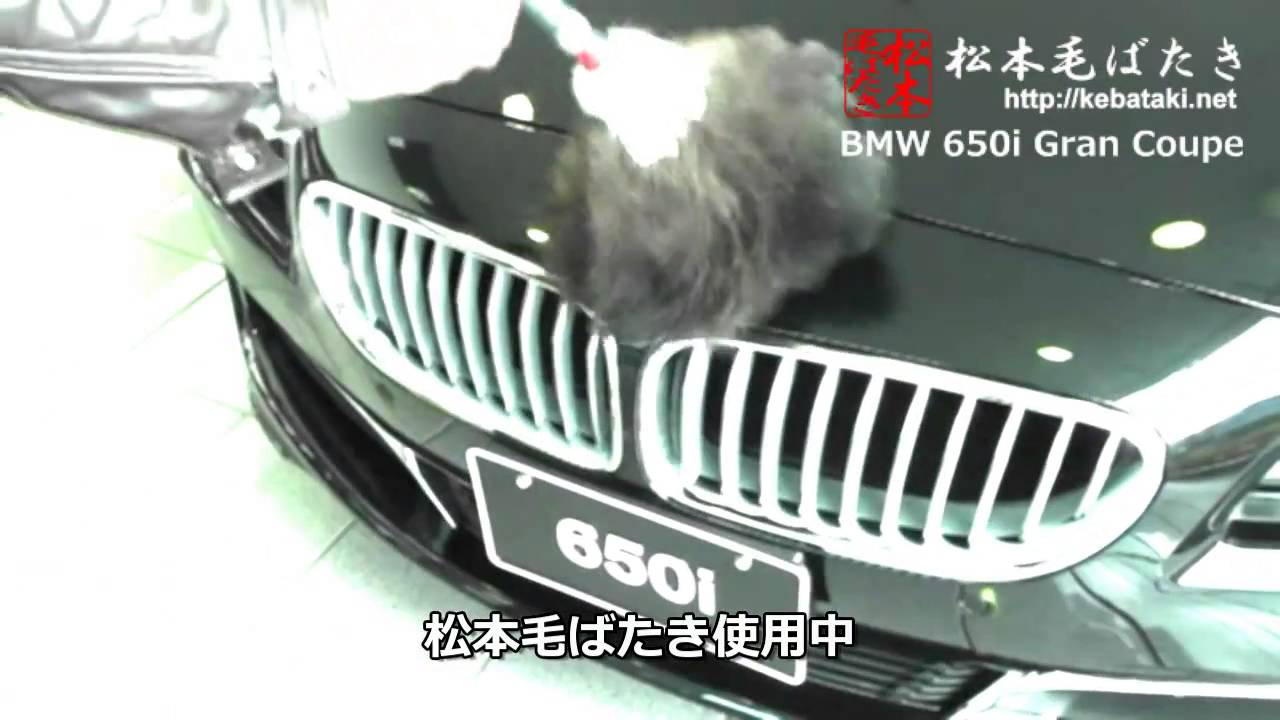 松本毛ばたき + BMW 650i Gran Coupe F06 - YouTube