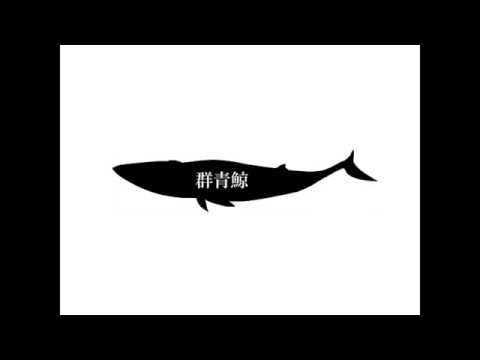 【初音ミク】群青鯨【オリジナル曲】