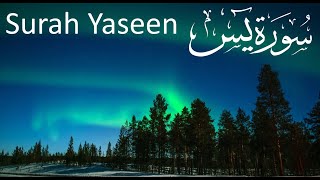 Surah Yasin (Yaseen) | By Sheikh Mishary Rashid Alafasy Full | 36 سورہ یس Episode 15|