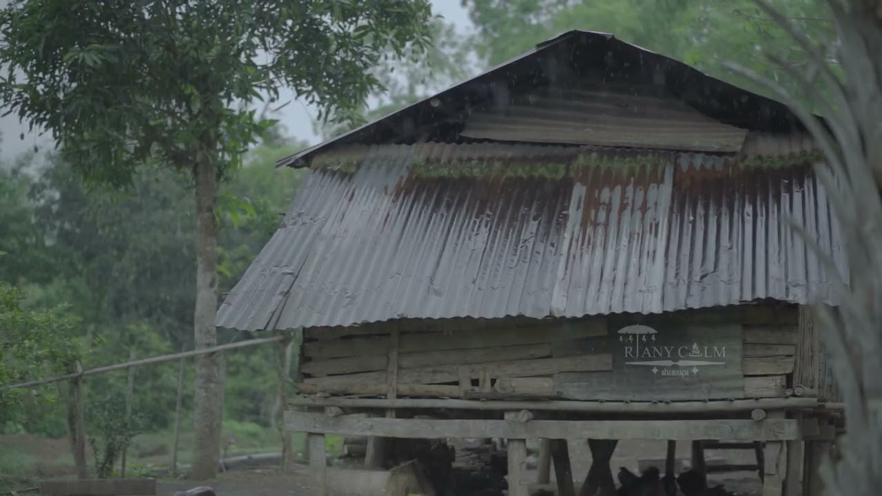 ฝนตกบนหลังคาสังกระสี กลางป่า ดีมากกฟังก่อนนอนหลับสบายยาว 5 ชั่วโมง