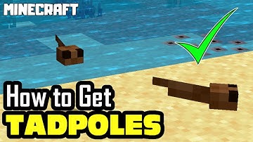 MINECRAFT | How to Get TADPOLES!