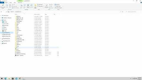 How To Find Shadow Warrior 3 Config And Save File