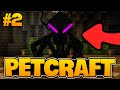 Bu nasil pet  minecraft petcraft  2