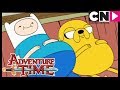 Adventure Time | Finn and Jake Get Fat | Cartoon Network