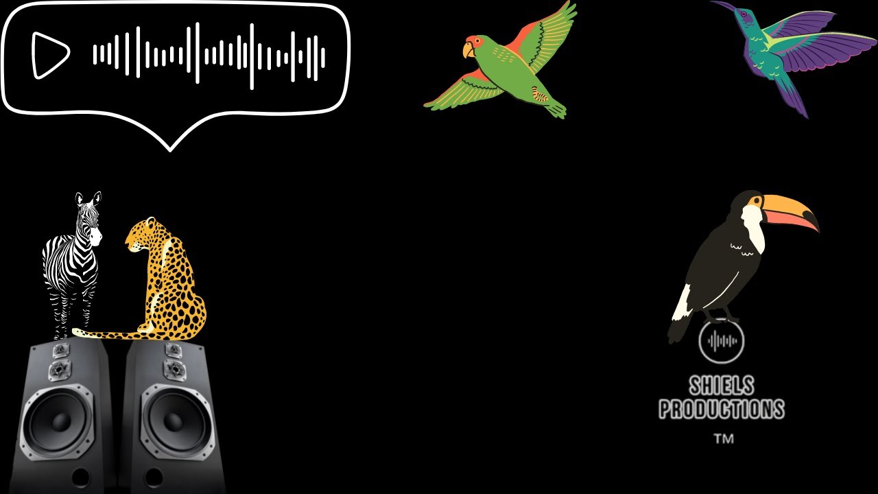 Tonton How to make $1000 a month from Audiojungle! di YouTube Tonton How to make $1000 a month from Audiojungle! di YouTube