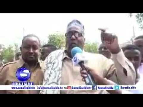 Oday Xaamasadeysan Oo Gabay Cajiib Ah Tiriyay Allow Yaa Dhowr Farmaajoo Kale Ah Dalka U Dhiiba 