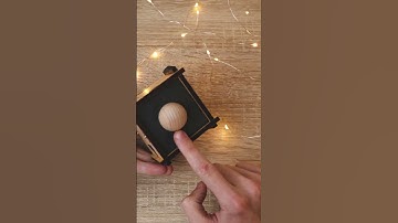 Flohcircus by Jean Claude Constantin