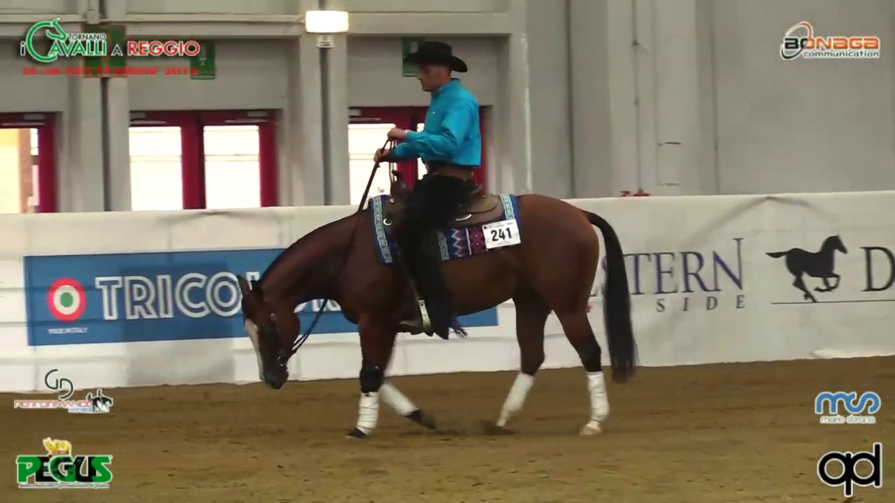 Pre Futurity 2019 - LORENZO DE SIMONE & THE WHIZ GUN score 143,5