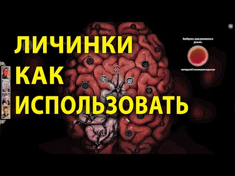 Личинки в Baldur's Gate 3 как использовать