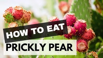 HOW TO PEEL & EAT TUNAS | Prickly Pear fruit + some delicious ideas