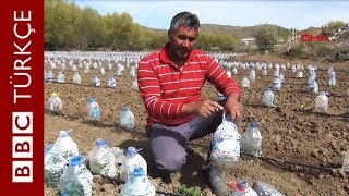 Yozgatlı Çiftçinin Kendine Özgü Sera Yöntemi