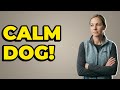 How Can I Reward My Dog For Not Engaging?