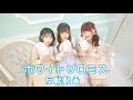【反転】ホワイトプロミス 踊ってみた【茶小狸*】