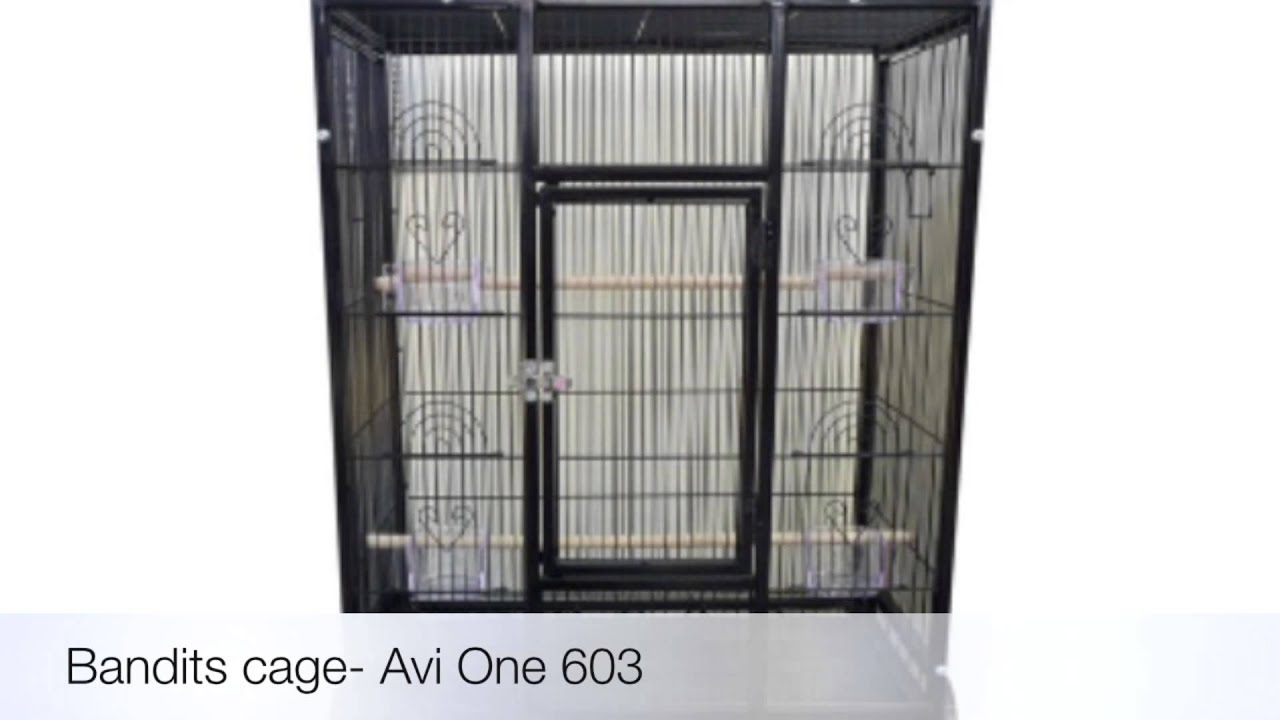 My bird cages YouTube