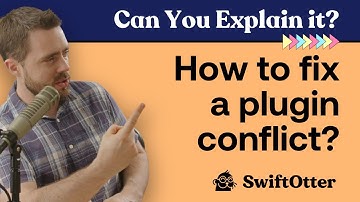 How should I fix a plugin conflict? | Can You Explain It? Knowledge Bite