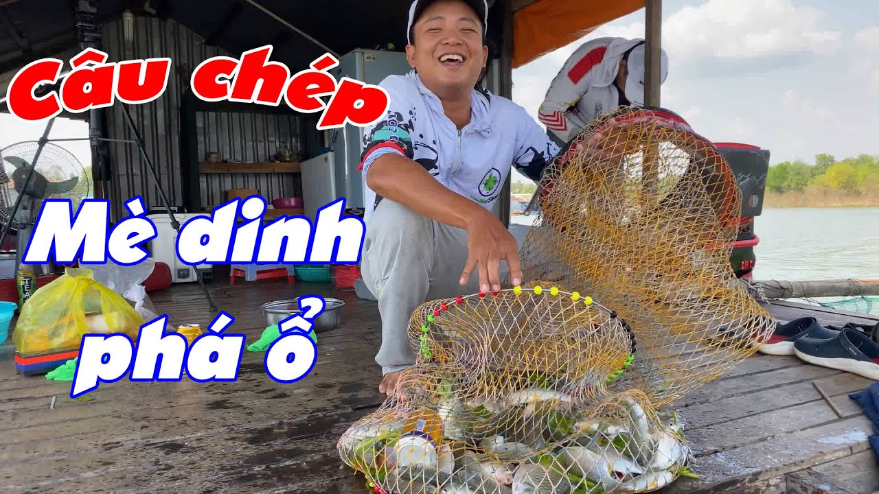 CÂU CÁ CHÉP BỊ CÁ MÈ DINH PHÁ Ổ | TRẢI NGHIỆM CÂU IKADA Ở BÈ CÙNG ANH EM CẦN THỦ TẠI HỒ TRỊ AN
