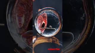 Mad Scientist's Laboratory | 3D animation