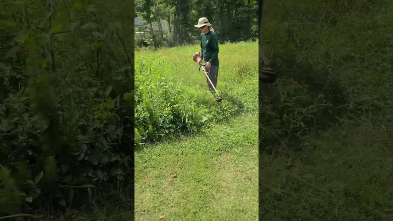 Weedeater Trying To Cut Really Thick Weeds