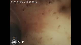 Scarlet Oak Sewer Video 2