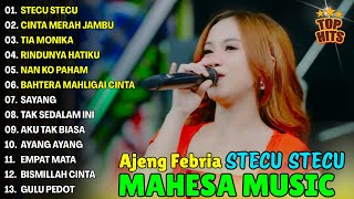 STECU STECU, CINTA MERAH JAMBU, TIA MONIKA - AJENG FEBRIA FULL ALBUM DANGDUT KOPLO MAHESA 2025