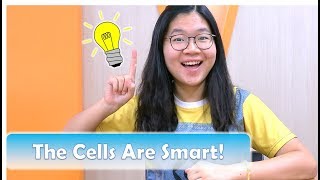 My Breakthrough Junior Challenge 2017 - The Cells Are Smart!