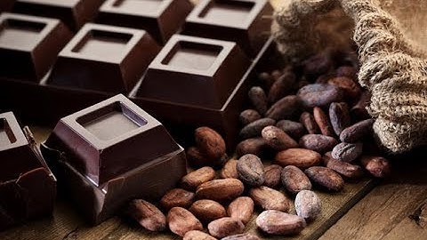 Chocolate Making Machine from Beans to Bar|Cocoa Liquor Machinery