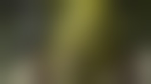 Clean Try not to Laugh part 2 (Reuploaded)