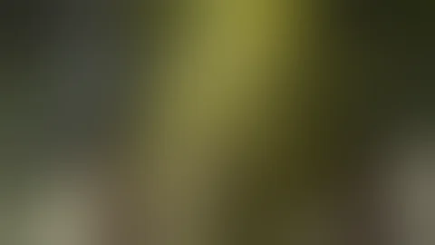 Clean Try not to Laugh part 2 (Reuploaded)