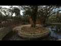 Hsinchu Zoo - Hippo 新竹動物園 河馬 VUZE XR VR 180 3D