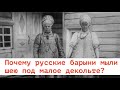 ВСЯ ПРАВДА О РОССИИ ОТ ПОМЕЩИКА САЛТЫКОВА-ЩЕДРИНА. Лекция историка Александра Палия